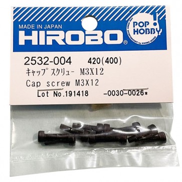 HIROBO 2532-004 Cap Screw M3X12